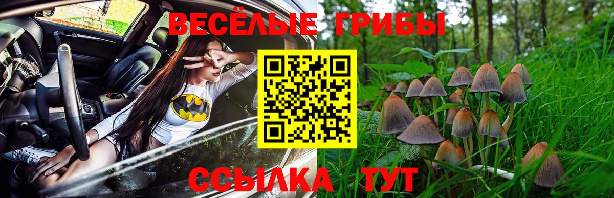 Псилоцибиновые грибы GOLDEN TEACHER  Галлюциногенные грибы ЛСД  Вход с VPN  Ростов-на-Дону 