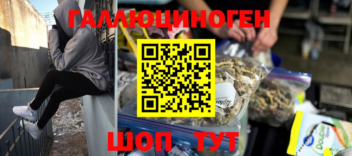 Псилоцибиновые грибы мицелий Ростов-на-Дону